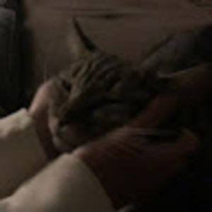 Meet your Posher, Lucia